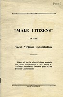 ["<p> Pamphlet. On cover: \"What will be the effect of these words in our State Constitution if the Susan B. Anthony amendment becomes part of the Federal Constitution?\"</p>"]